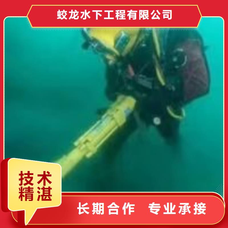 潜水员打捞队-潜水员打捞队厂家、品牌