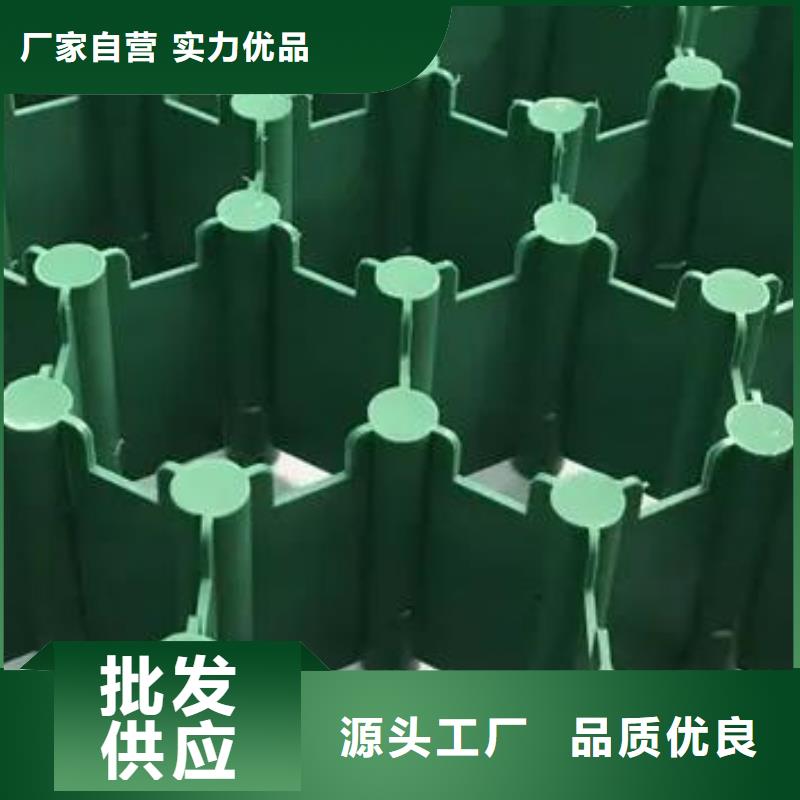 植草格水泥化粪池N年大品牌