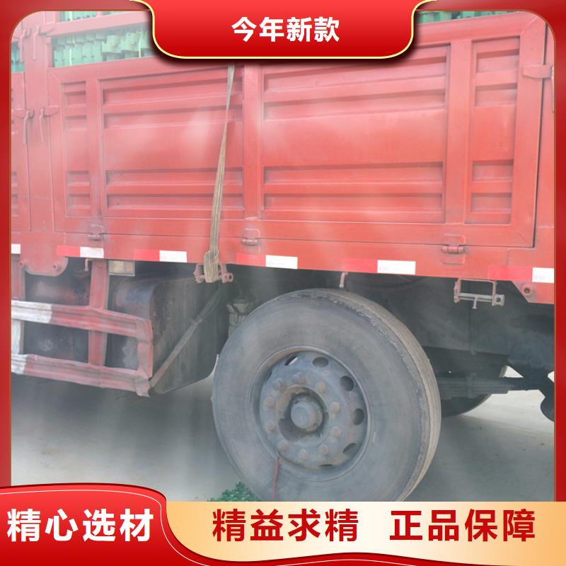 植草格水泥化粪池N年大品牌