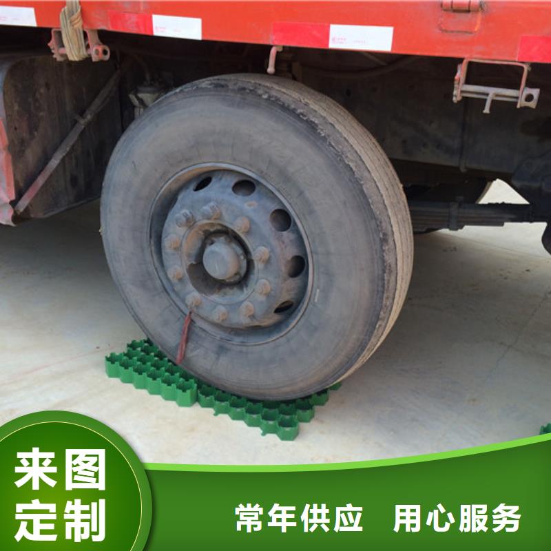 植草格水泥化粪池N年大品牌