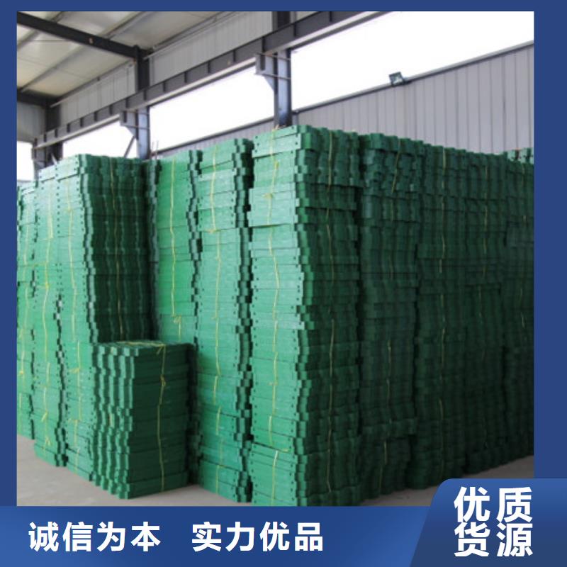 植草格水泥化粪池N年大品牌