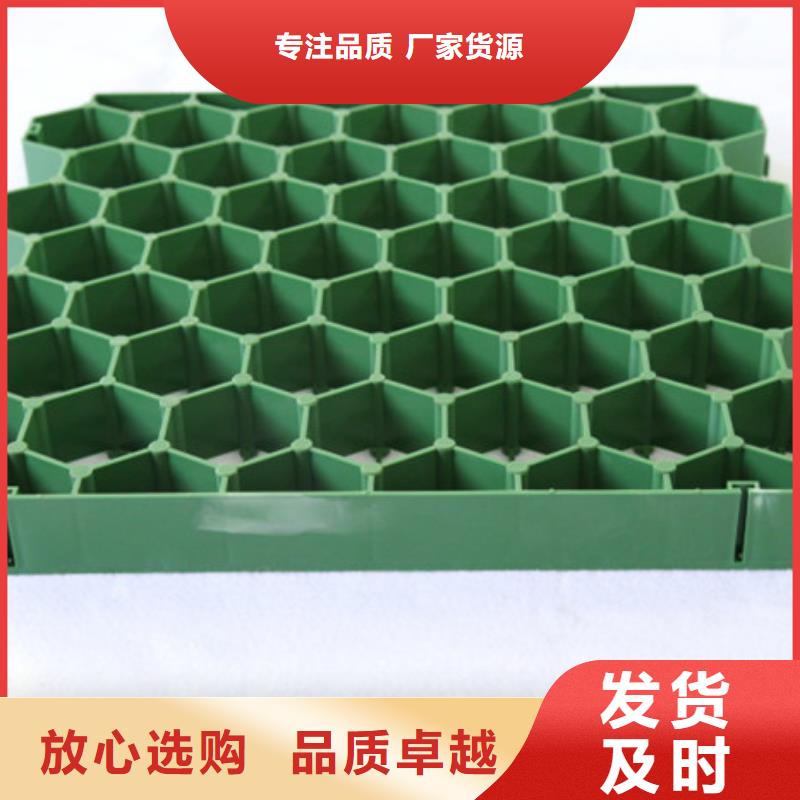 【植草格排水板好产品好服务】