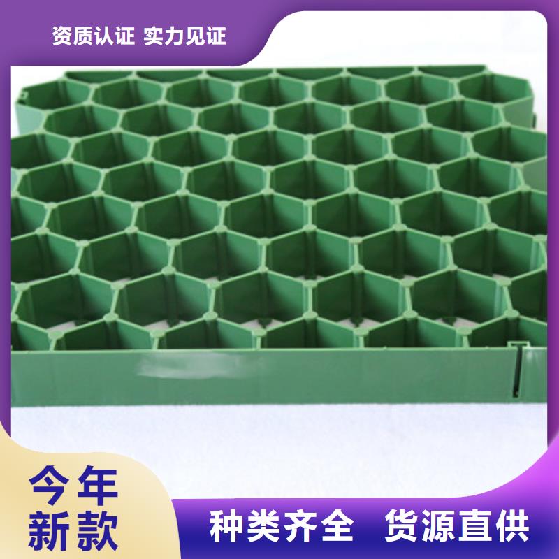 植草格水泥化粪池N年大品牌
