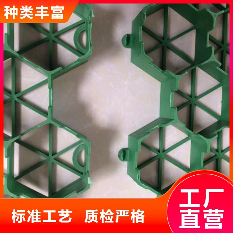 【植草格排水板好产品好服务】