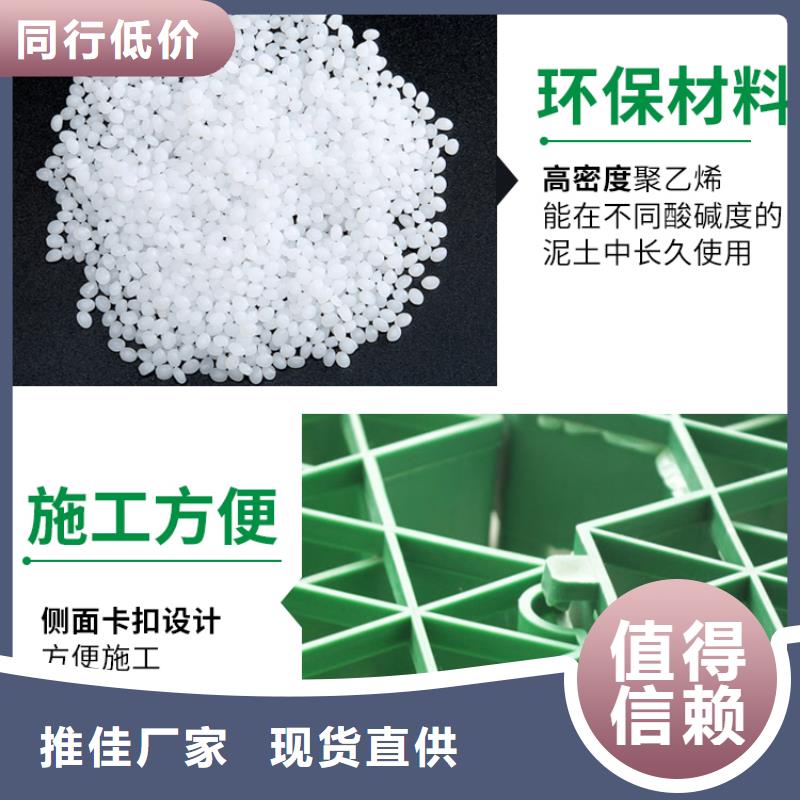 植草格水泥化粪池N年大品牌