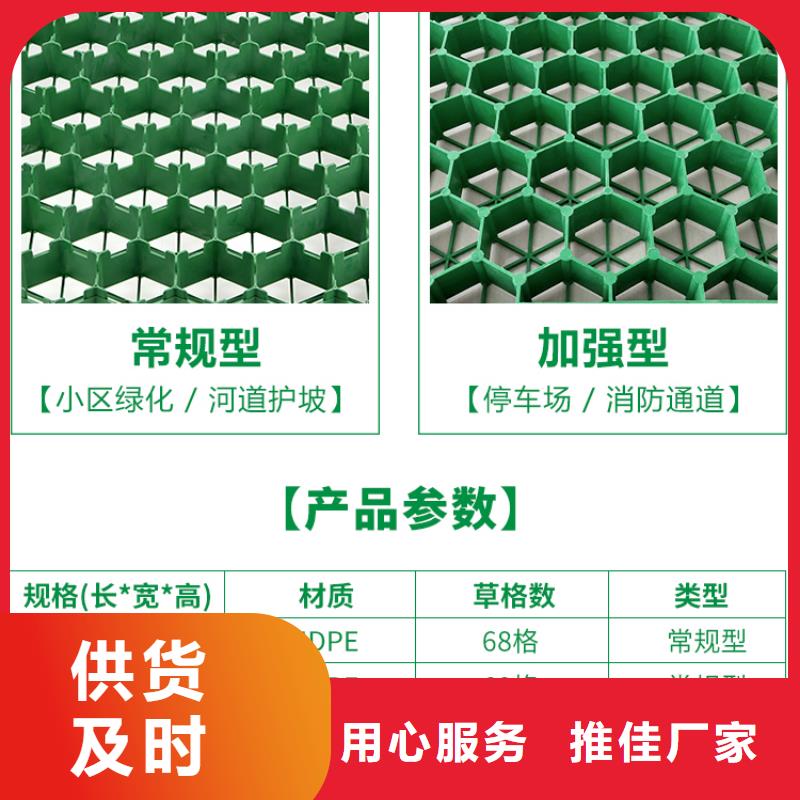 植草格水泥化粪池N年大品牌