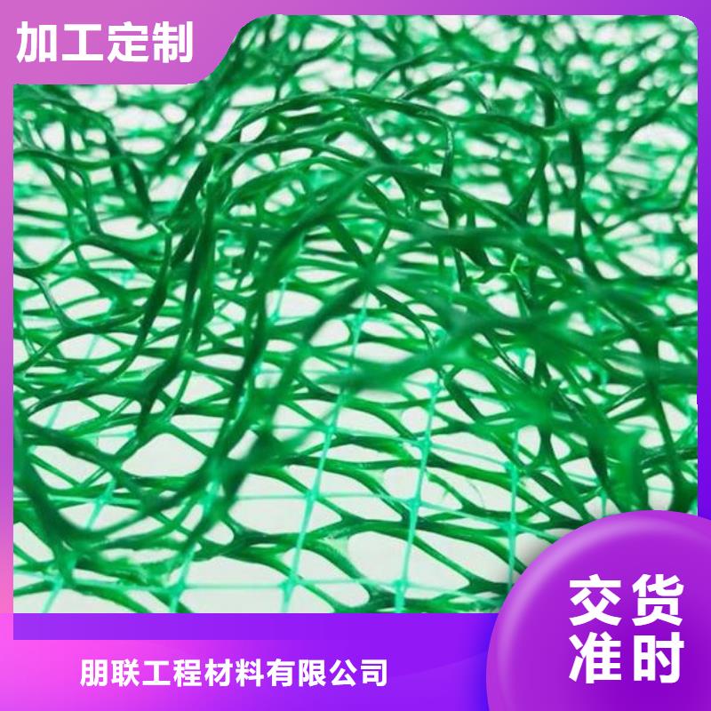 三维植被网植草格实体厂家大量现货
