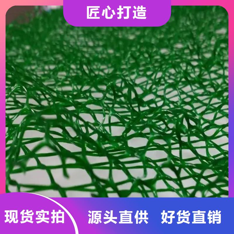 三维植被网植草格实体厂家大量现货