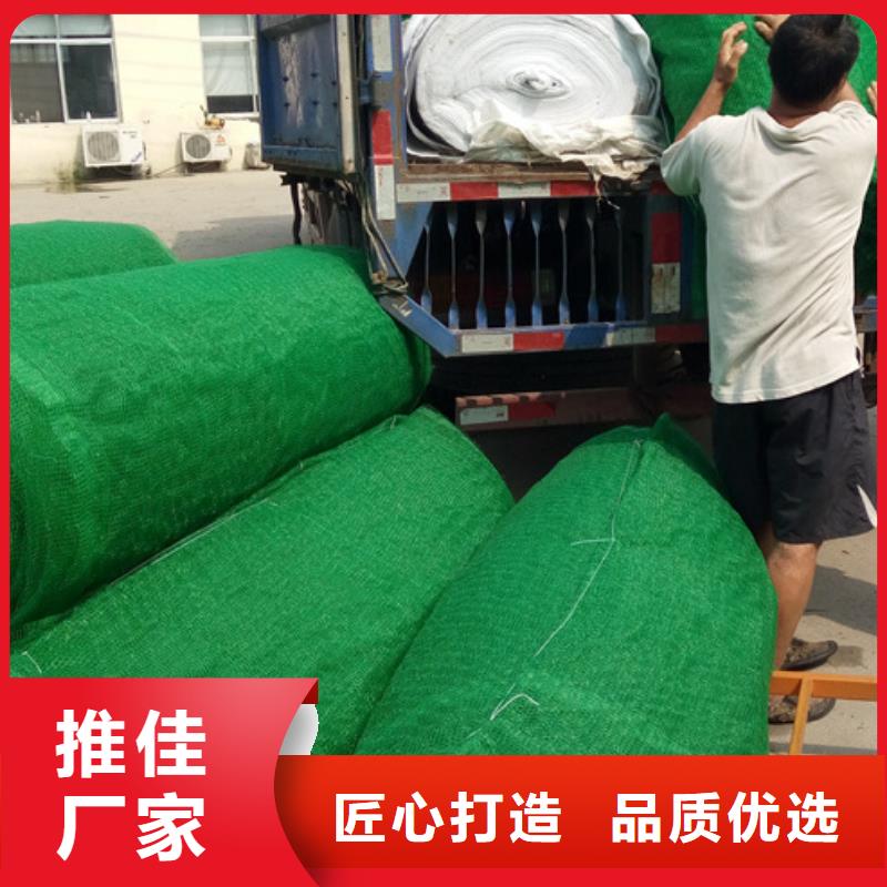 三维植被网,排水板出货快
