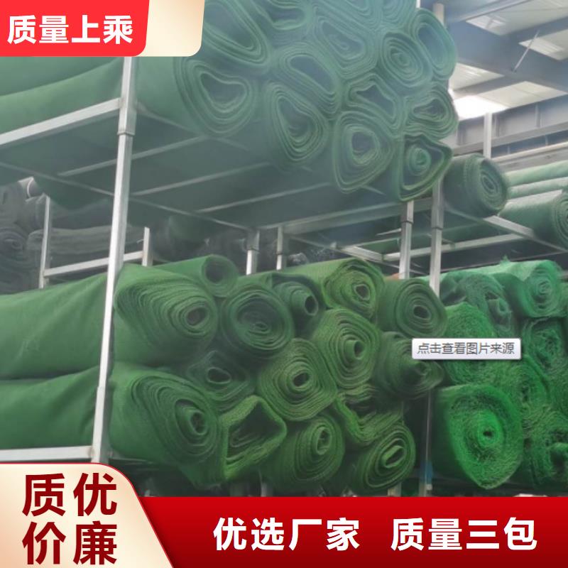 三维植被网植草格实体厂家大量现货