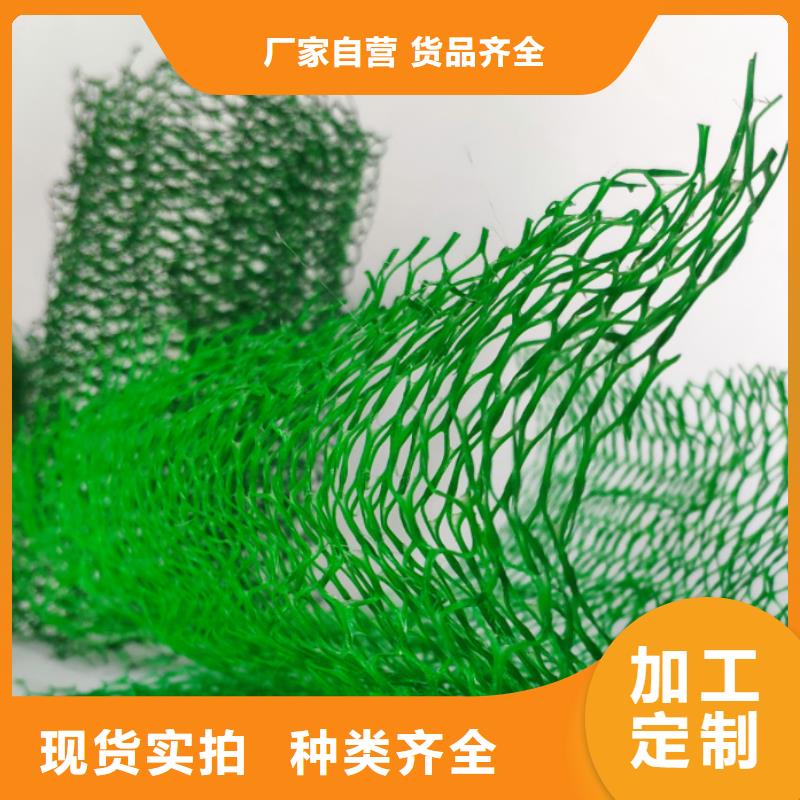 三维植被网,排水板出货快