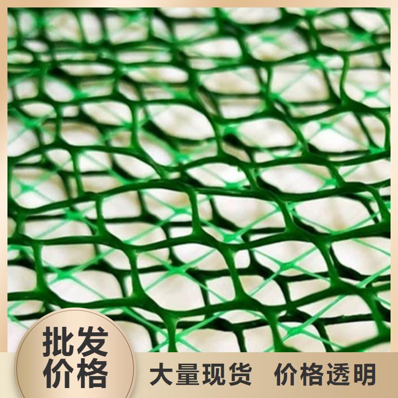 三维植被网,排水板出货快