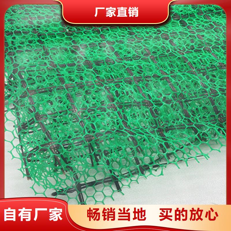 三维植被网,排水板出货快