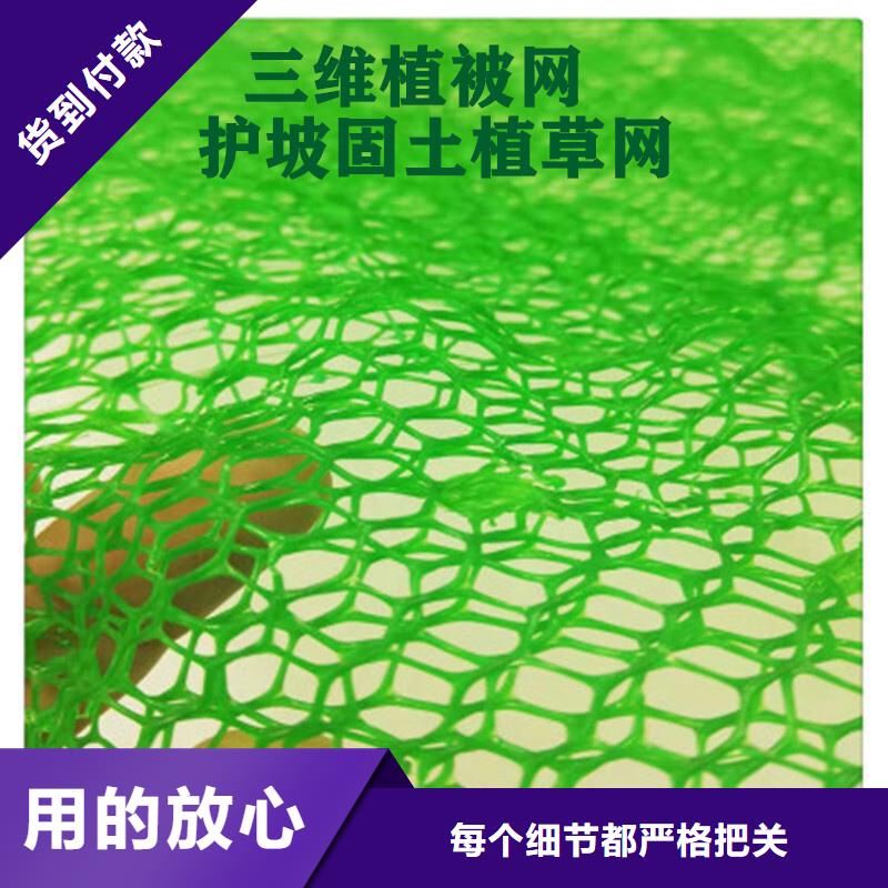 三维植被网,排水板出货快