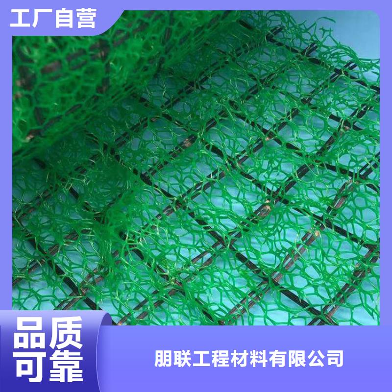 三维植被网,排水板出货快