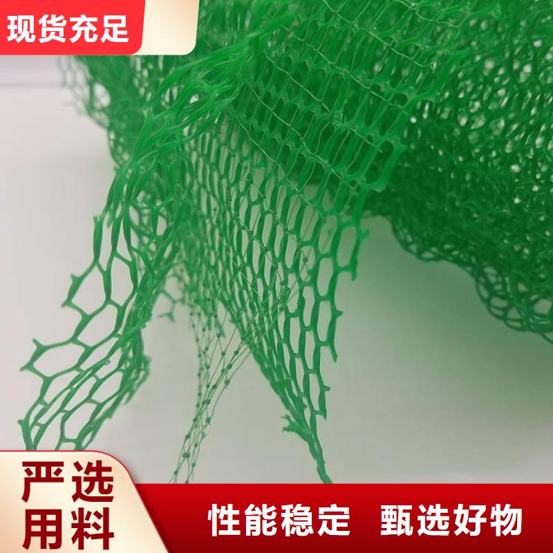 三维植被网,排水板出货快