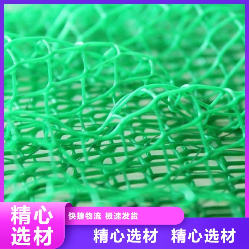 三维植被网,排水板出货快