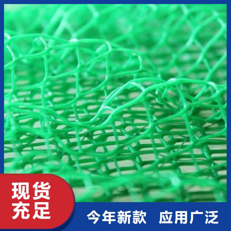 三维植被网,排水板出货快