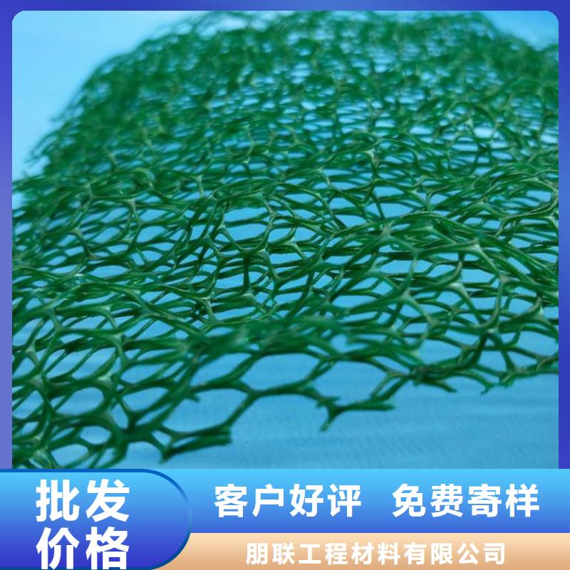 三维植被网植草格实体厂家大量现货