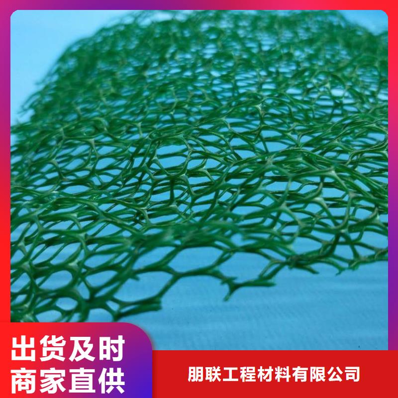 三维植被网,排水板出货快