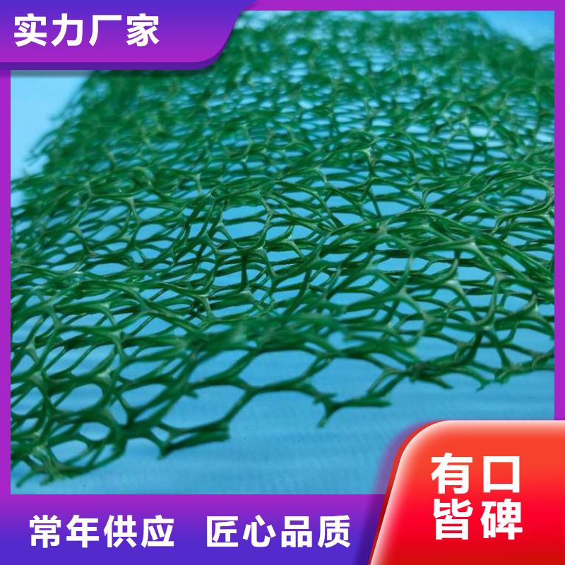 三维植被网,排水板出货快