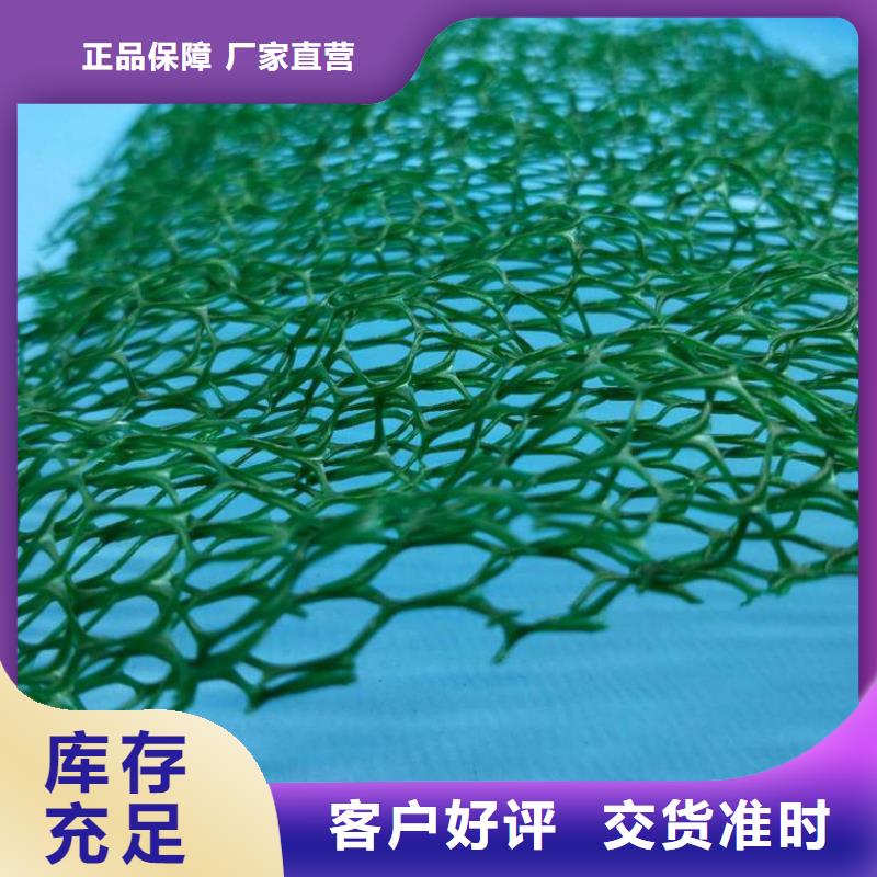 三维植被网植草格实体厂家大量现货