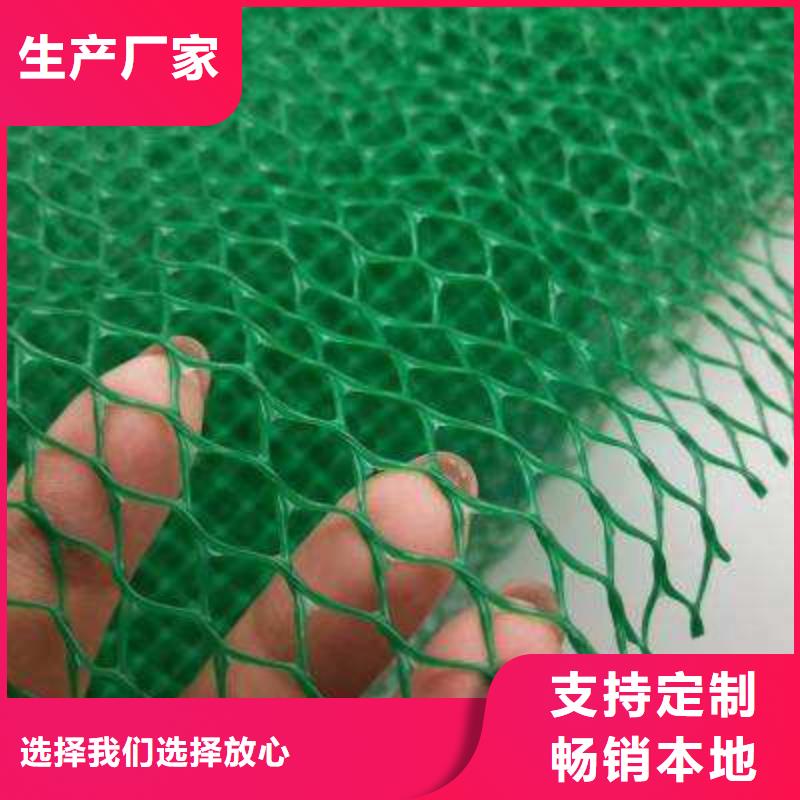 三维植被网,排水板出货快