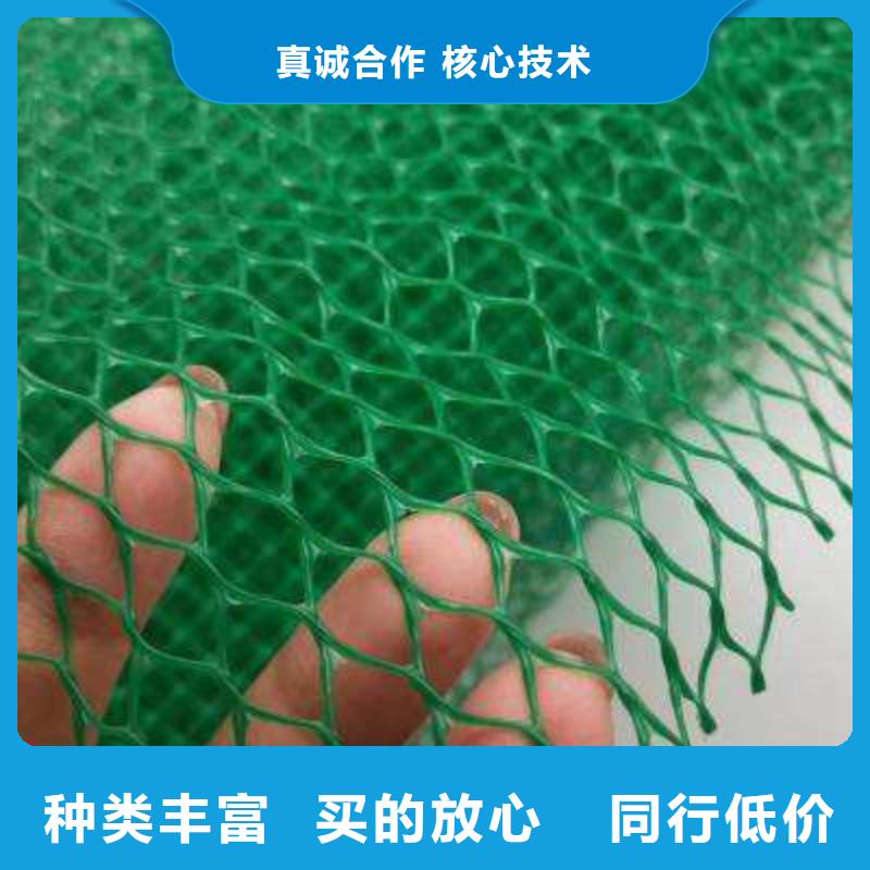 三维植被网植草格实体厂家大量现货