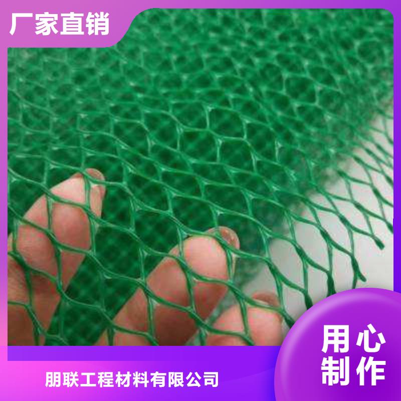 三维植被网,排水板出货快