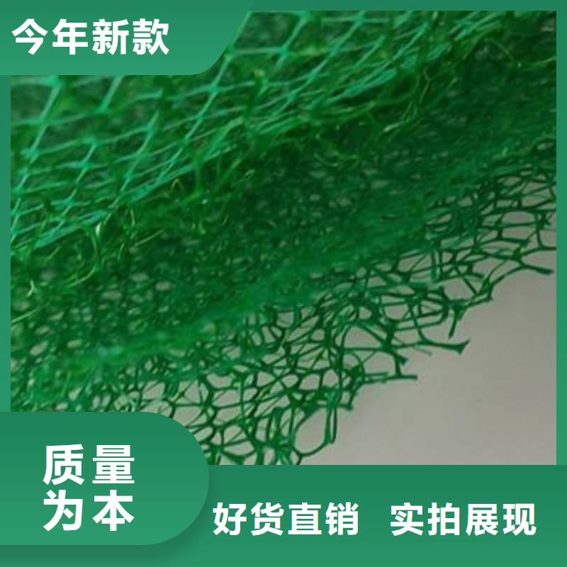 三维植被网,排水板出货快