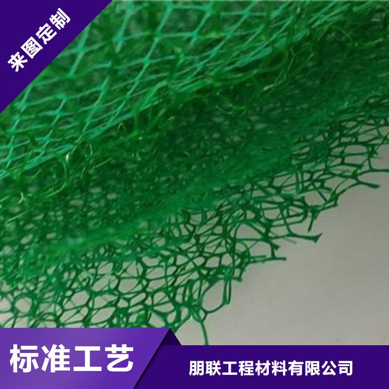 三维植被网植草格实体厂家大量现货