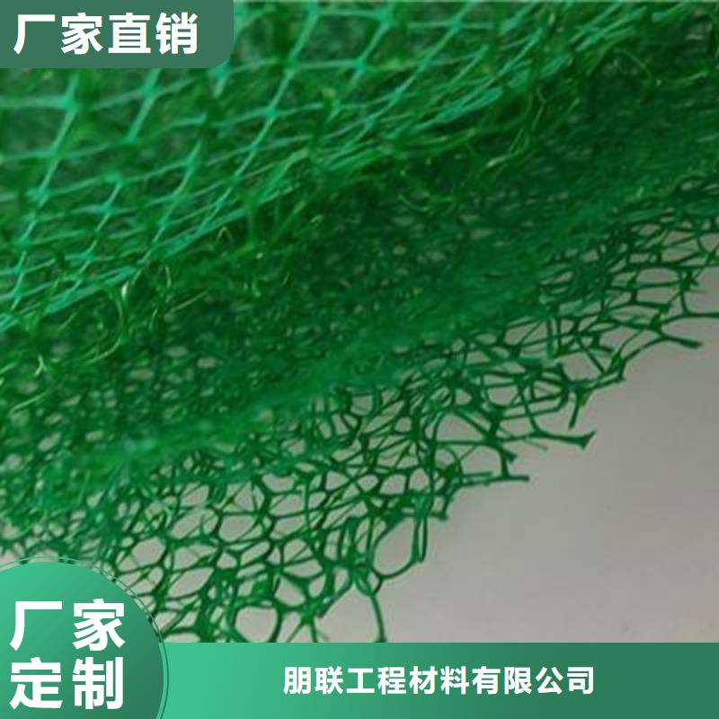 三维植被网,排水板出货快
