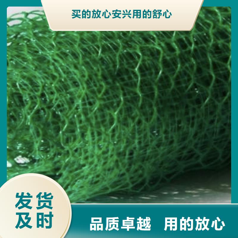 三维植被网,排水板出货快