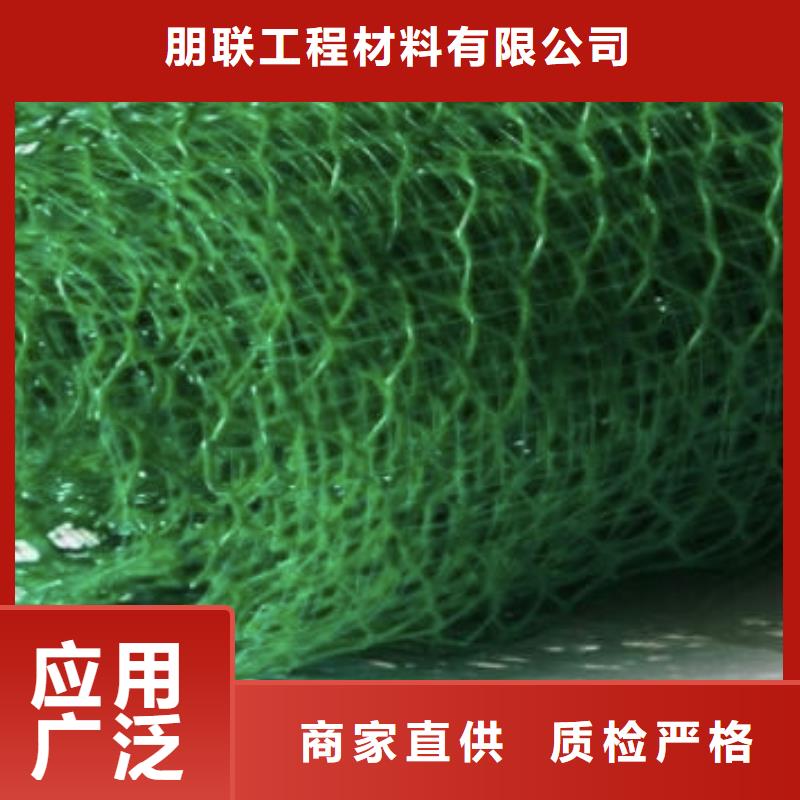 三维植被网植草格实体厂家大量现货