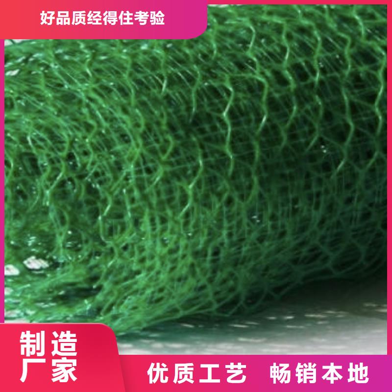 三维植被网,排水板出货快