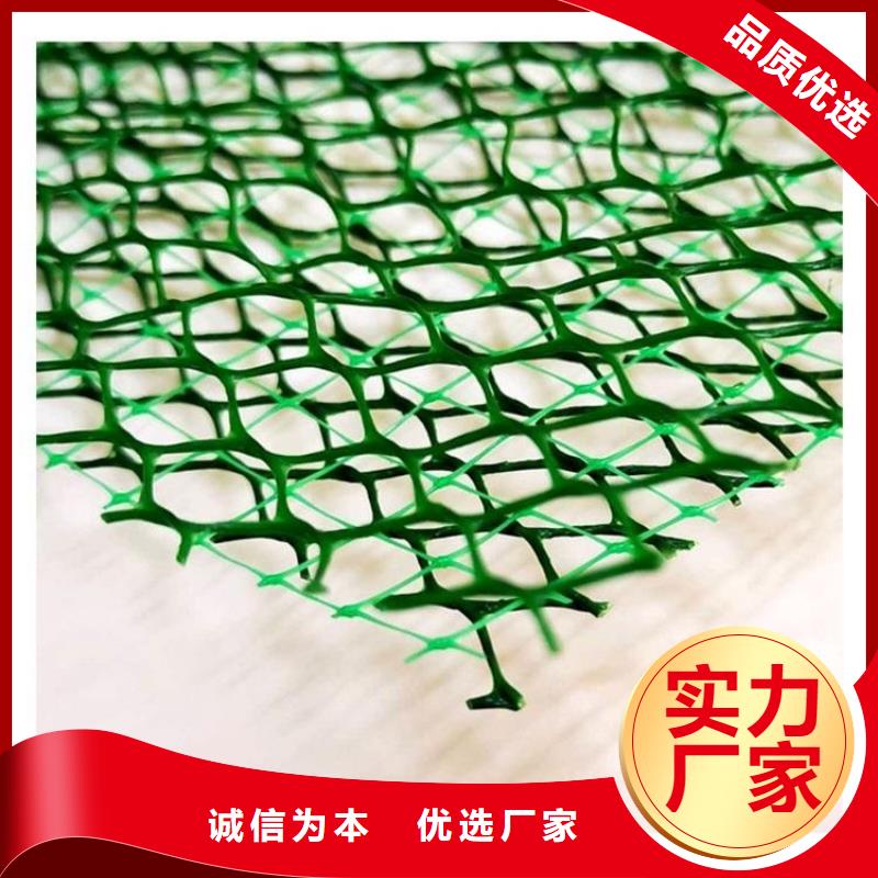 三维植被网,排水板出货快