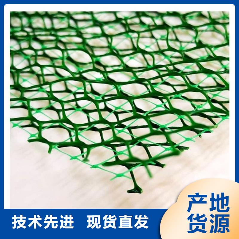 三维植被网植草格实体厂家大量现货