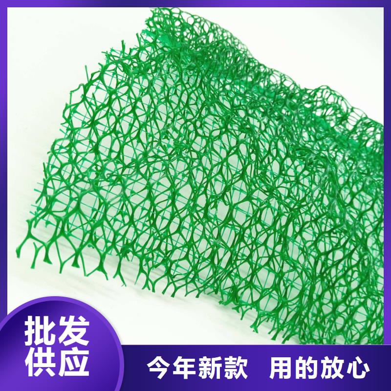 三维植被网,排水板出货快