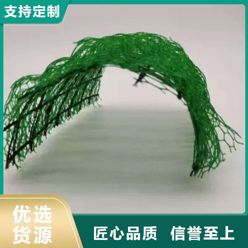 三维植被网植草格实体厂家大量现货