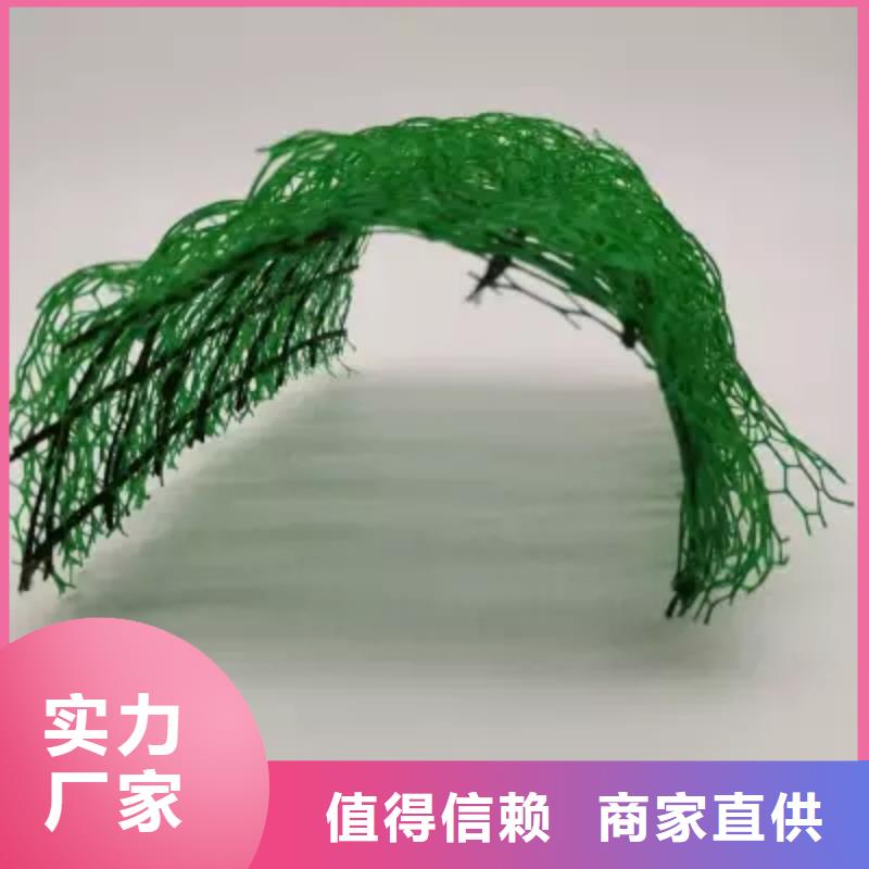 三维植被网,排水板出货快