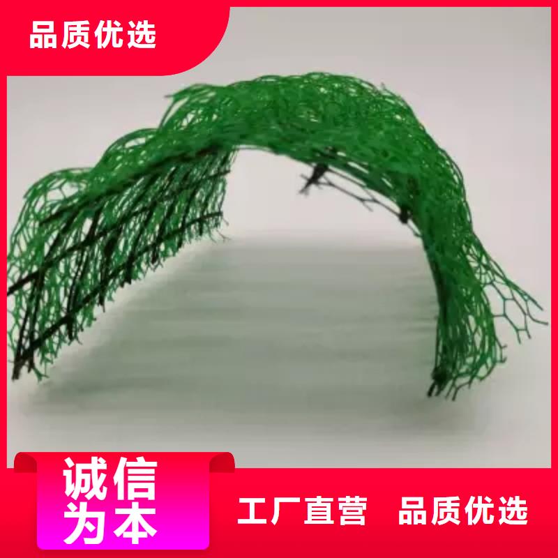 三维植被网,排水板出货快