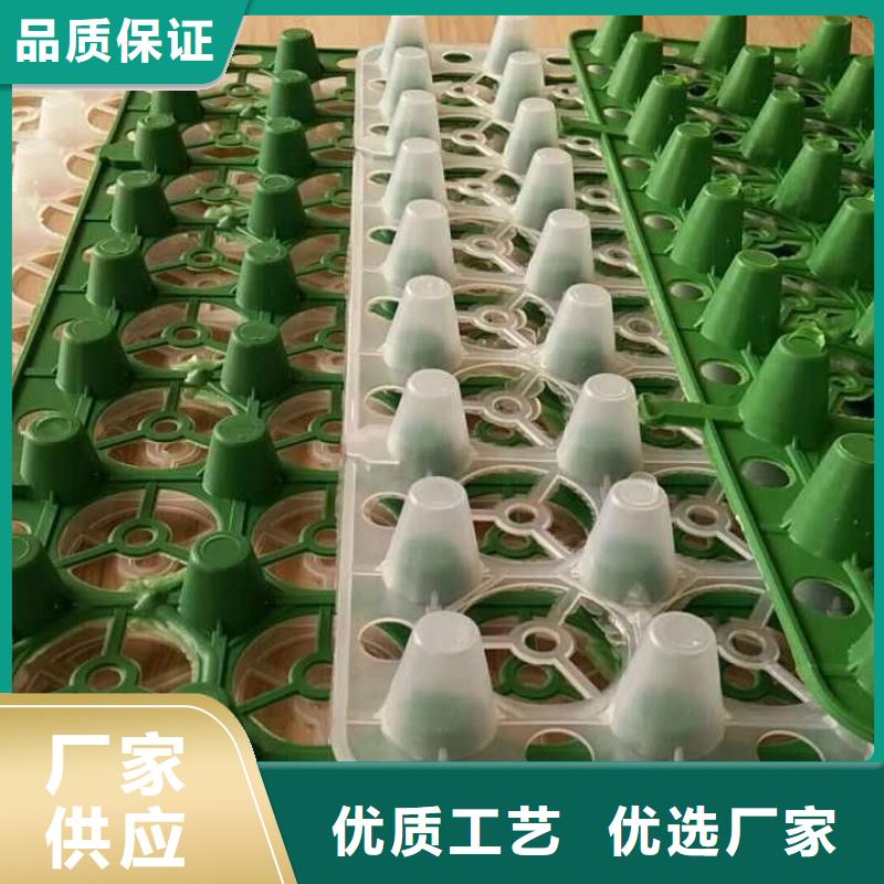  排水板优选厂商