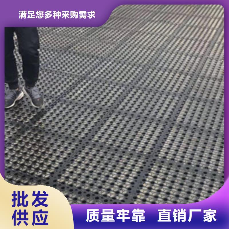 排水板复合土工膜放心购