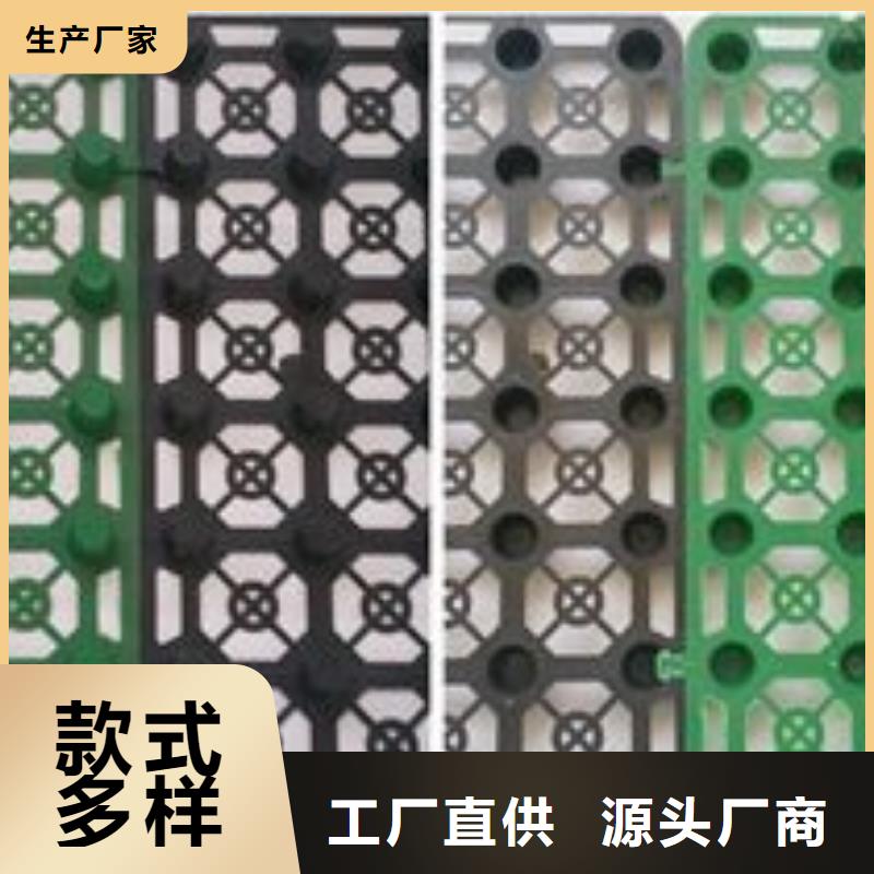 排水板-塑料排水板厂家批发价