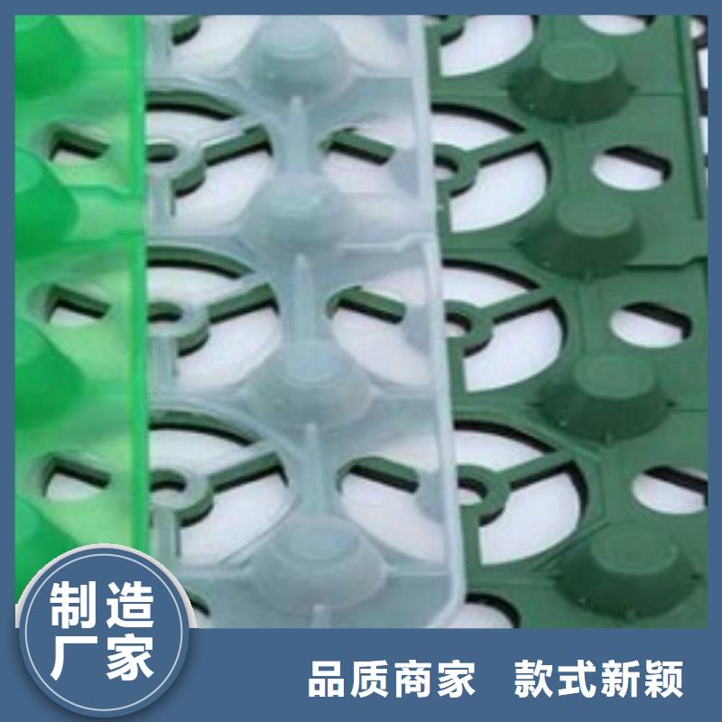 排水板 盲沟管真正的源头厂家