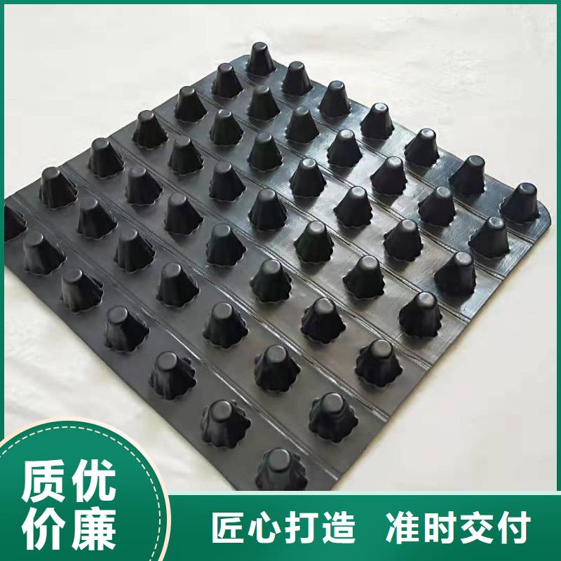 排水板复合土工膜放心购