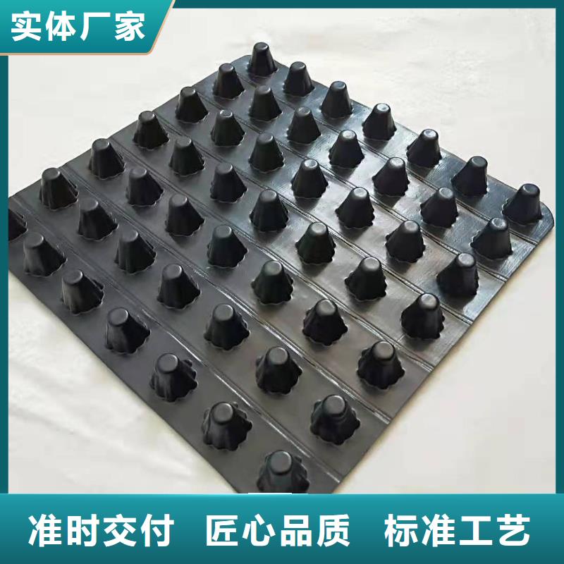 排水板塑料排水板价格地道