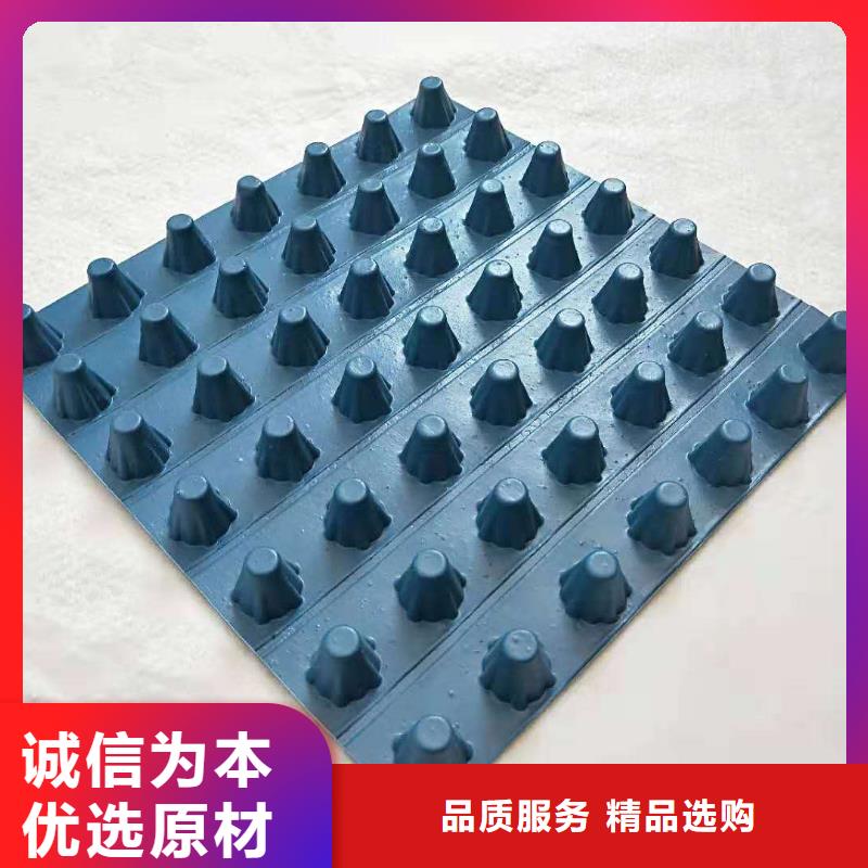 排水板塑料排水板价格地道