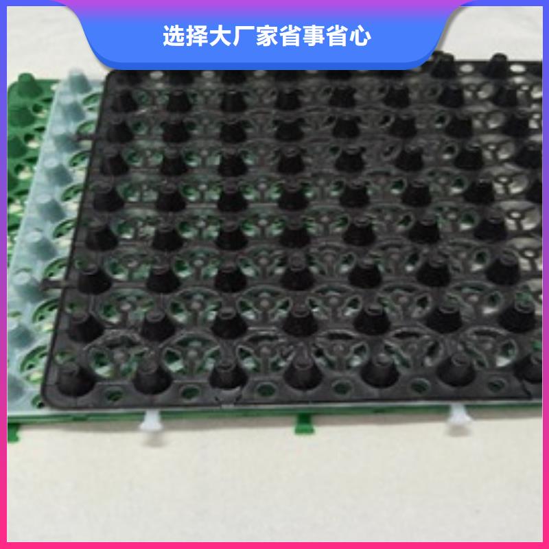 排水板塑料排水板价格地道