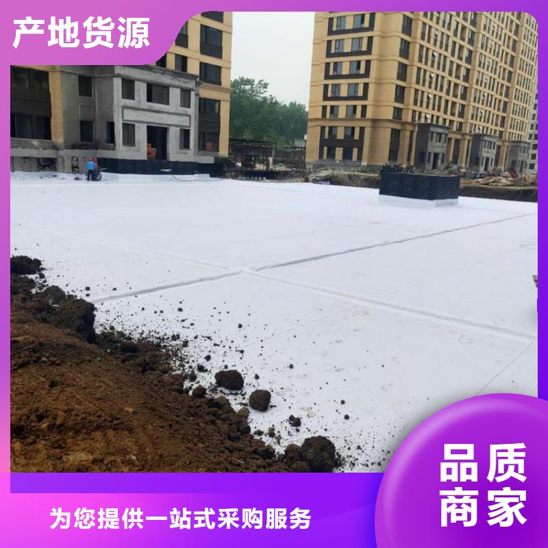 排水板塑料排水板价格地道